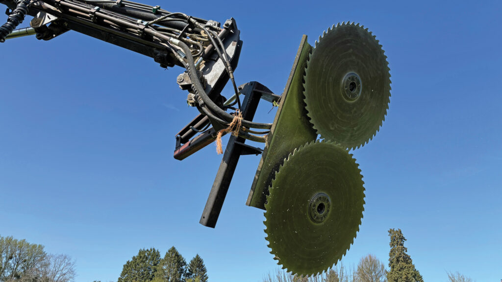 Saw head with twin blades