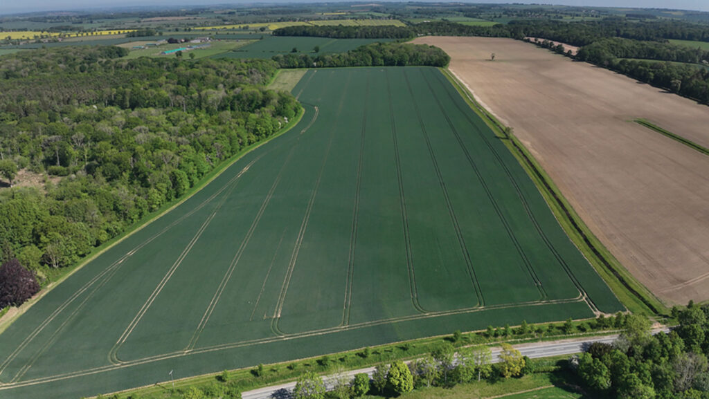 Revesby Estate 19ha field of Redwald wheat used in season two of the trial © Agrii