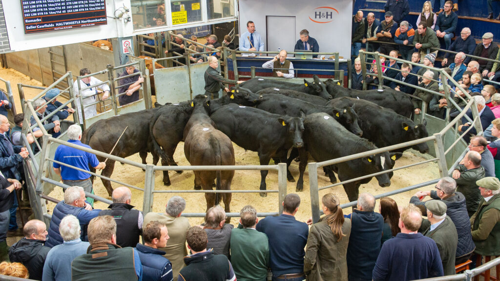 © Harrison Hetherington