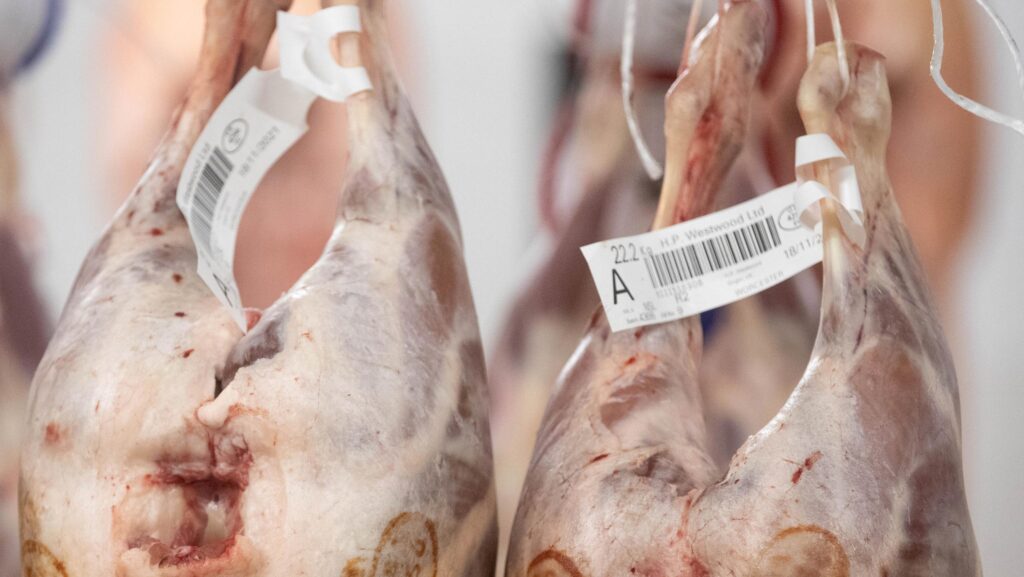 FSA small abattoir fee cut proposal divides industry