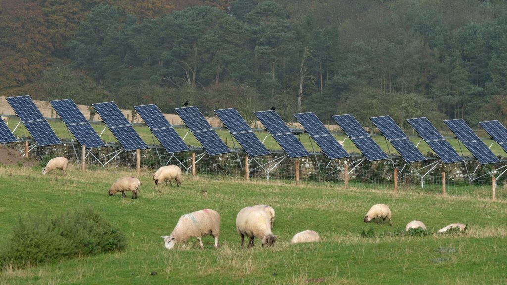 10 things farmers need to know about Defra’s land use plan