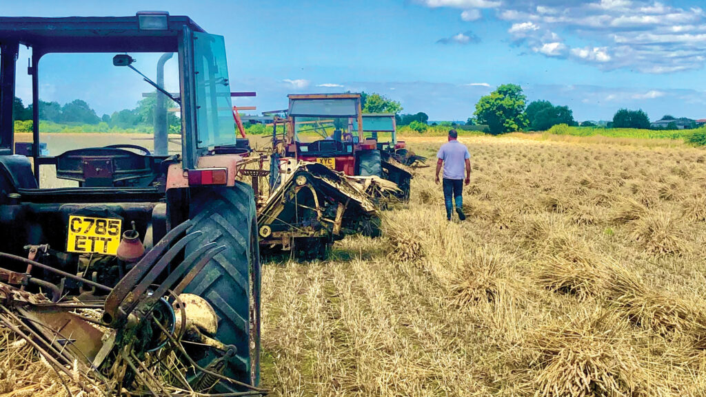 © Packham Thatchers