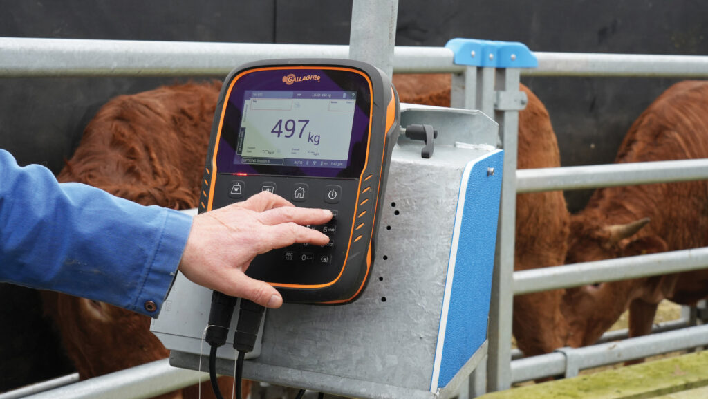 Weighing machine at Chapel of Barras Farm