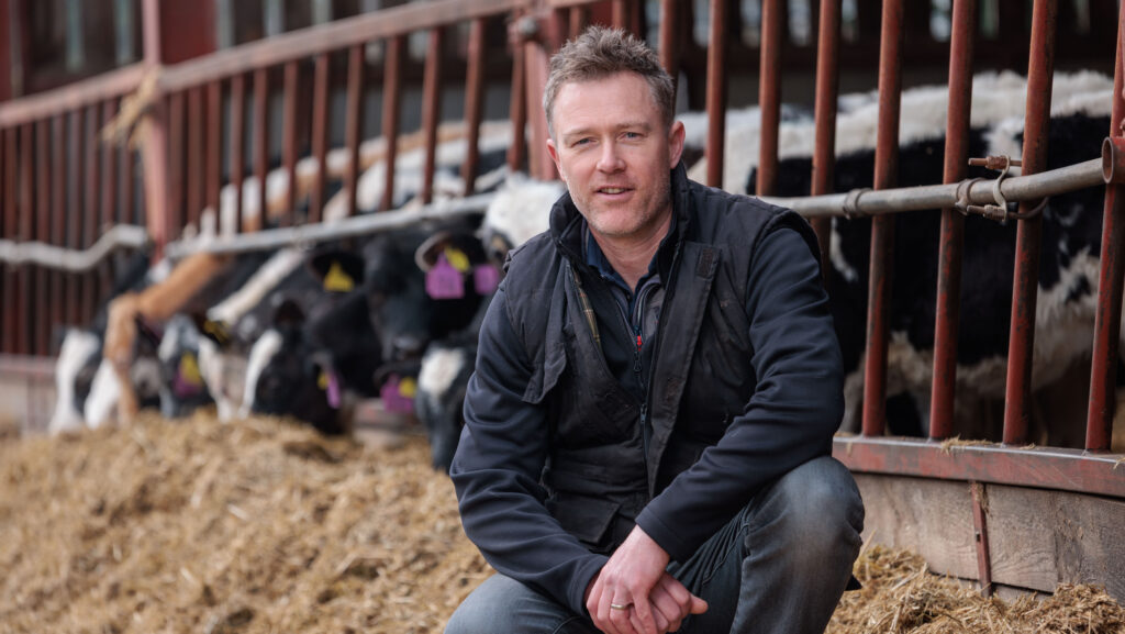 © Lee Boswell Photography