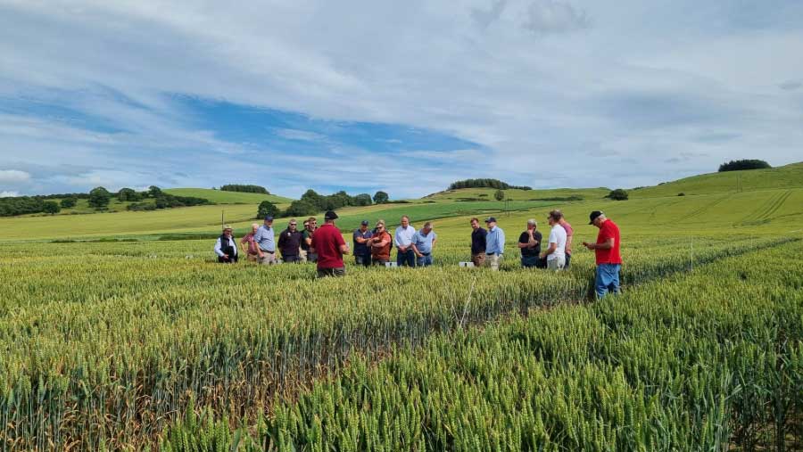 Trials go beyond the plot with Limagrain farm demo network