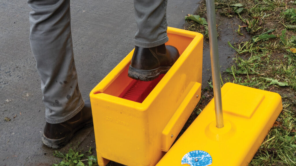 Disinfecting footwear outside poultry shed