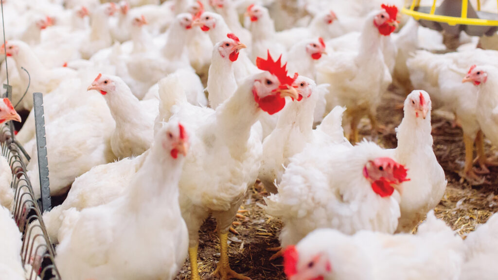 © davit85/iStockphoto