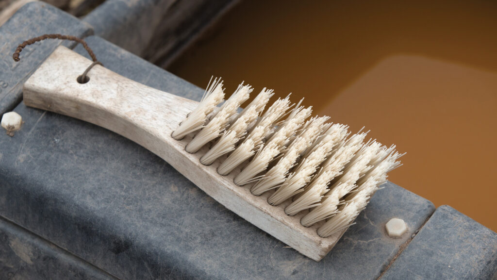 Brush and disinfectant