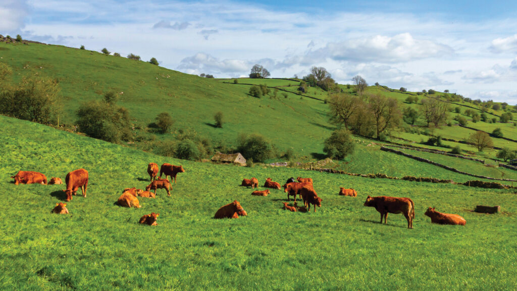 © Northscape/Alamy Stock Photo