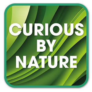 Curious by Nature