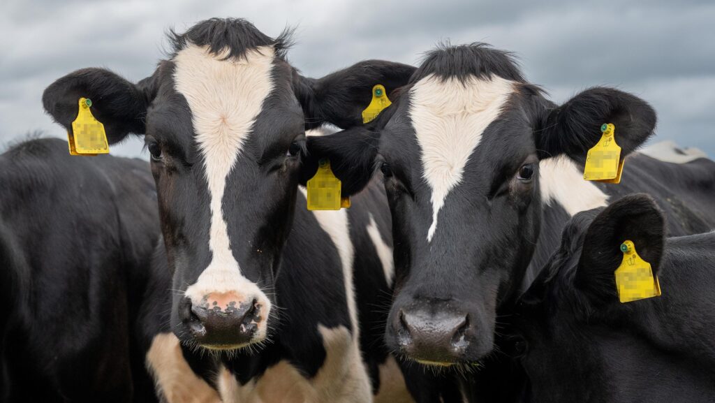 Farm emissions fall but progress uneven across England