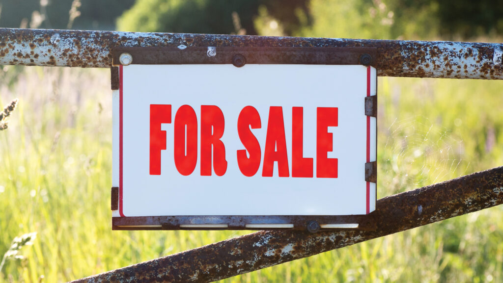 Business Clinic: Advice on managing probate sale of farm