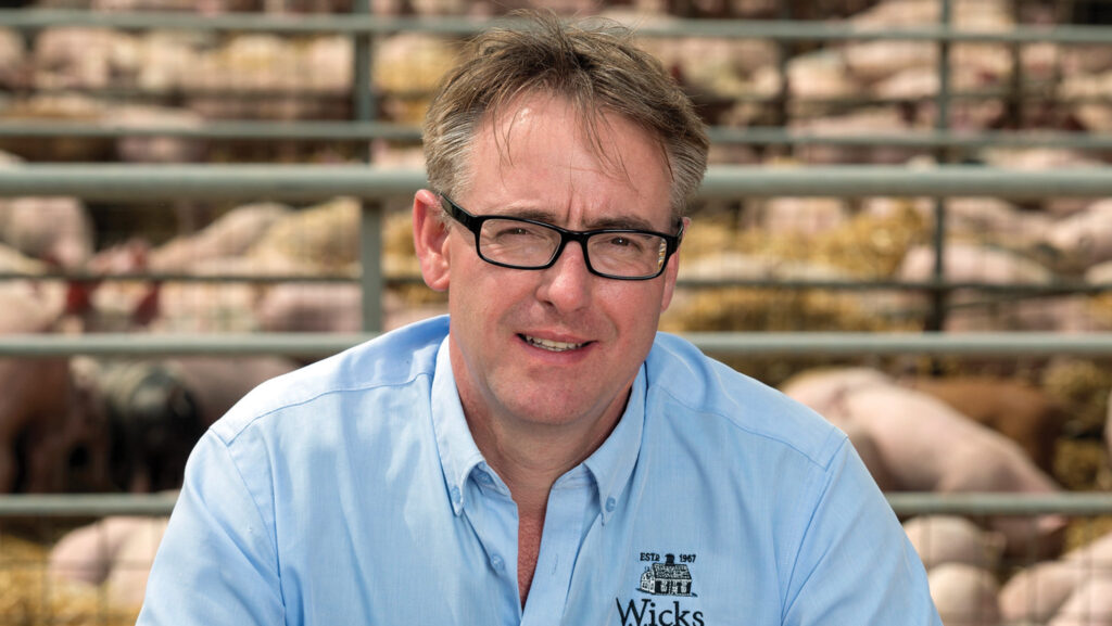 Farmer in front of pigs in pens
