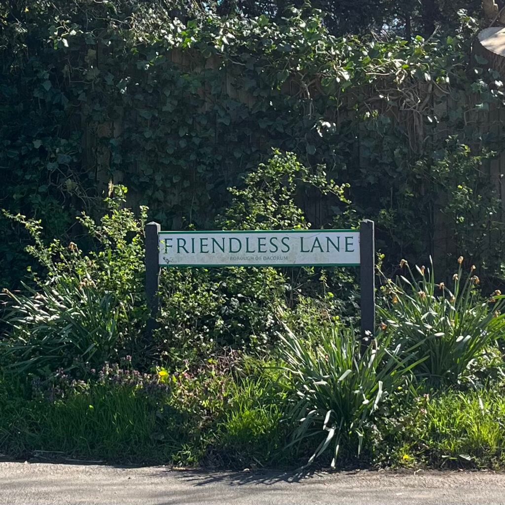 The street sign for Friendless Lane