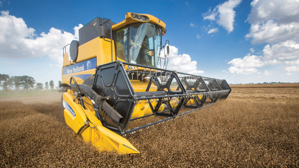 Harvesting linseed © GNP