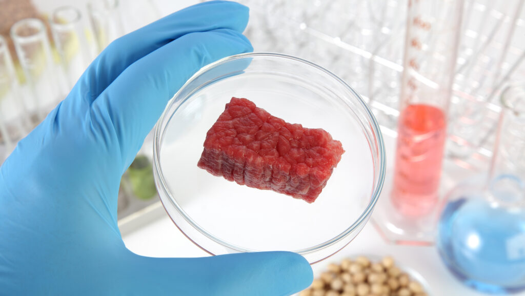 © studiocasper/iStockphoto