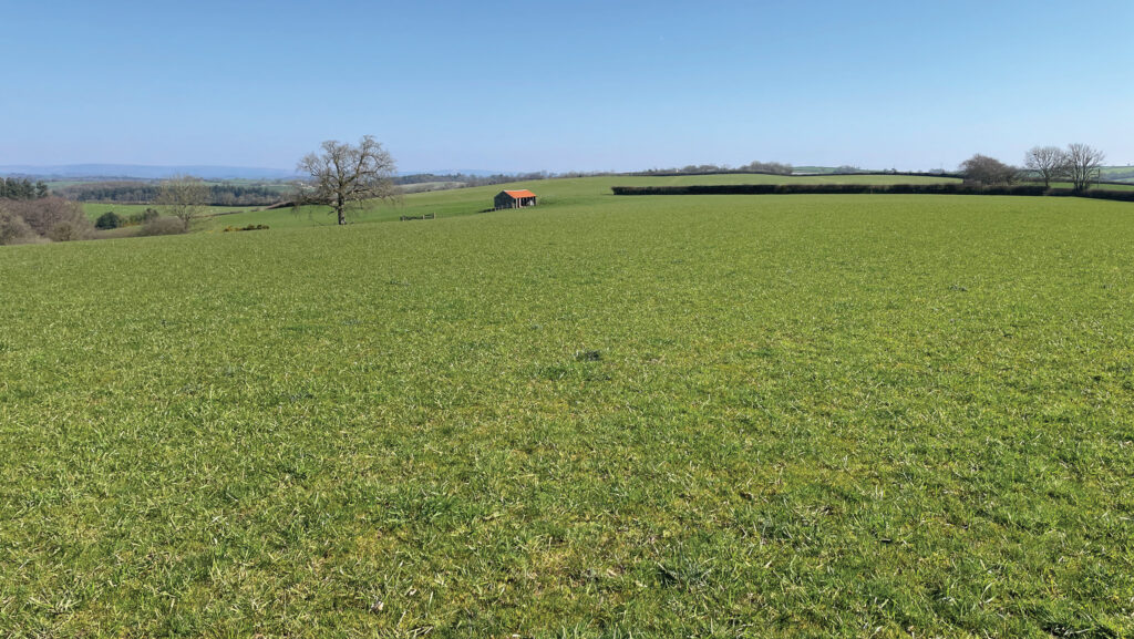 Land at Eastacott Cross near Umberleigh