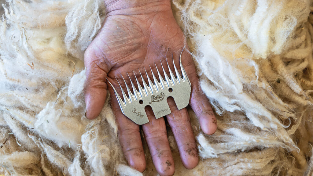 Lister 394 shearing comb © Lister