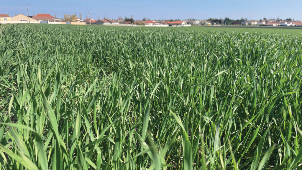 © MAG/Richard Allison