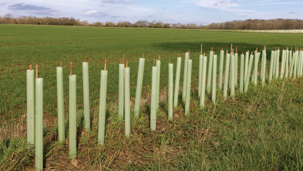 Wales' Sustainable Farming Scheme: What you need to know