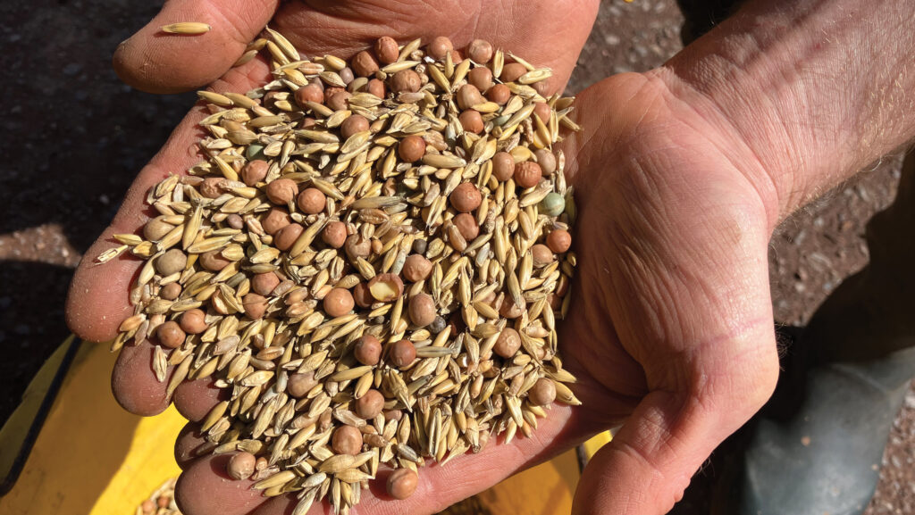 How polycrop is paving way to premium feed market