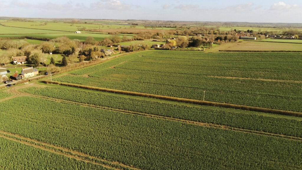 Bare arable land off Riseley Road in Bedfordshire