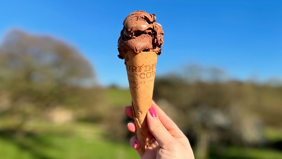 Chocolate Ice Cream in a cone being held up