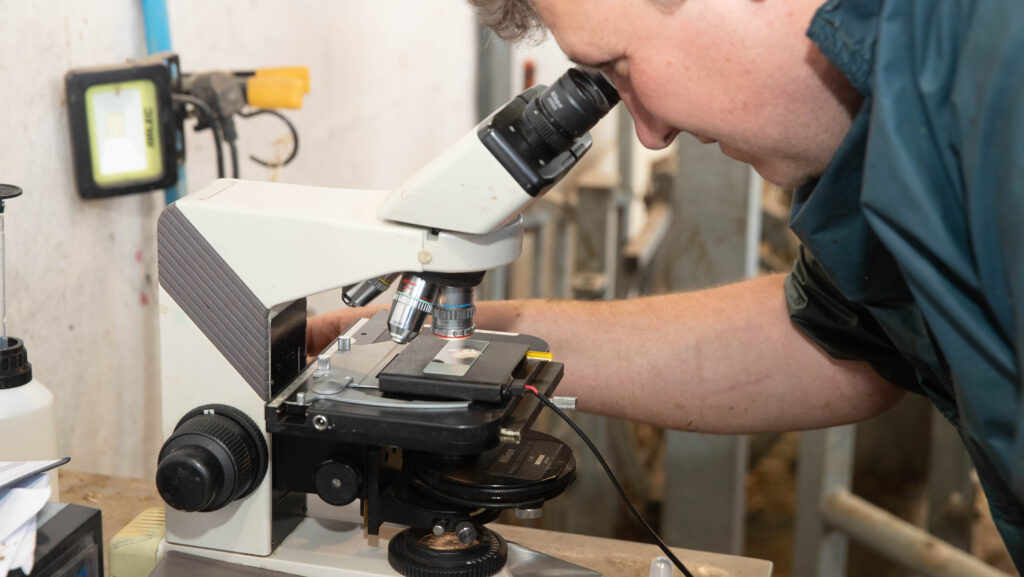 A vet fertility testing