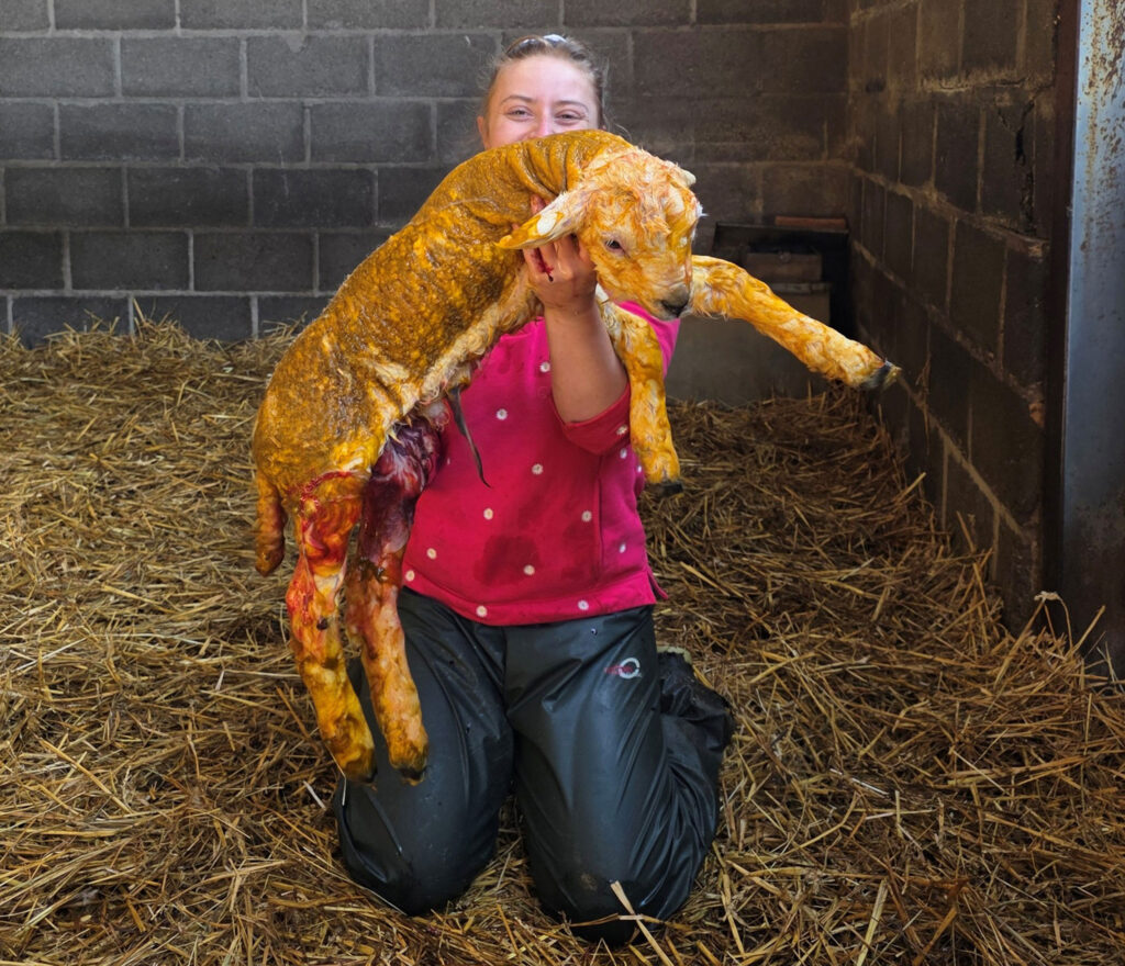 Aimee Moore holding a whopper 8.5kg lamb
