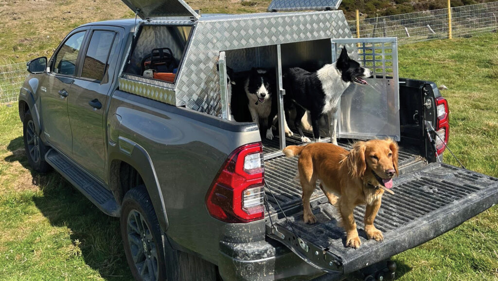 Pickup canopy © Wylfa Hardtops
