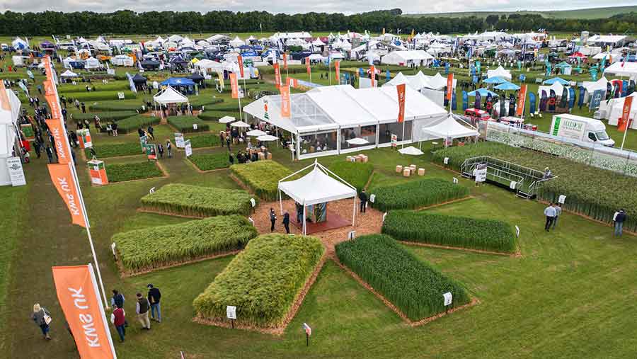 KWS at Cereals