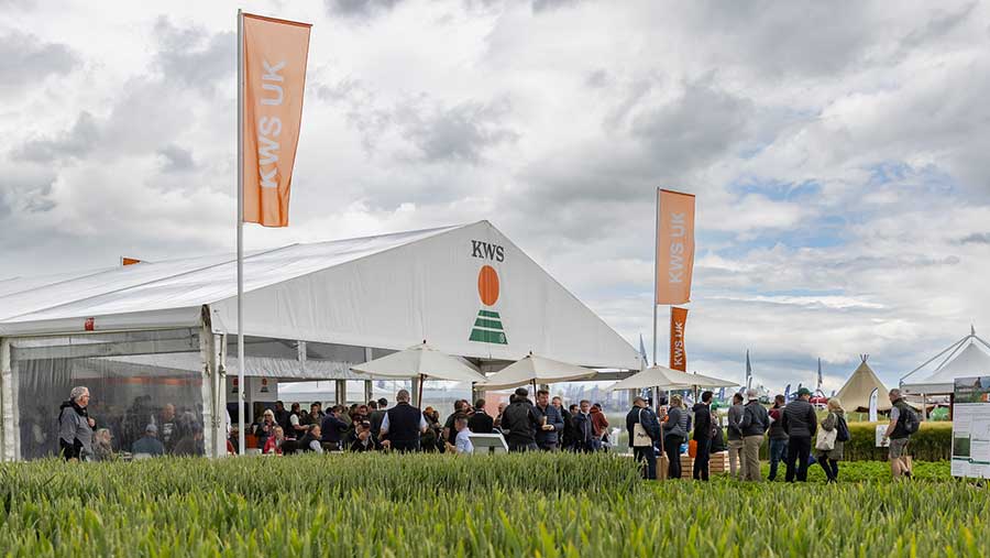 KWS at Cereals