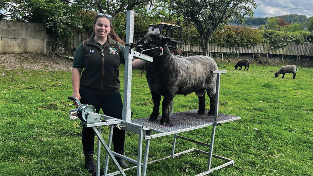 Alys Williams with raised trimming stand