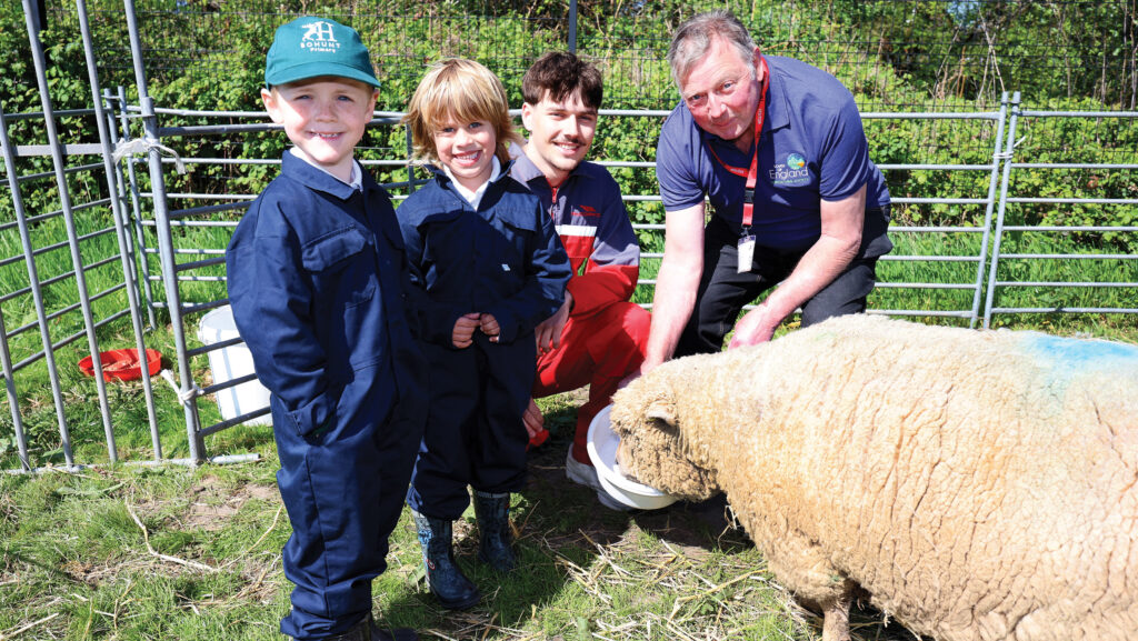 Children meet sheep - Loan a Lamb scheme