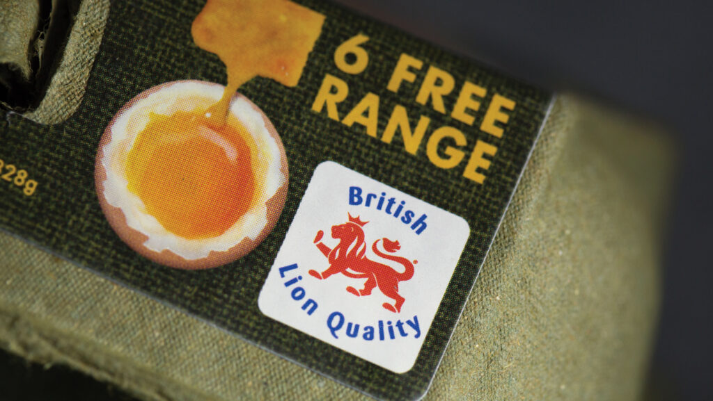 British Lion logo on an egg box