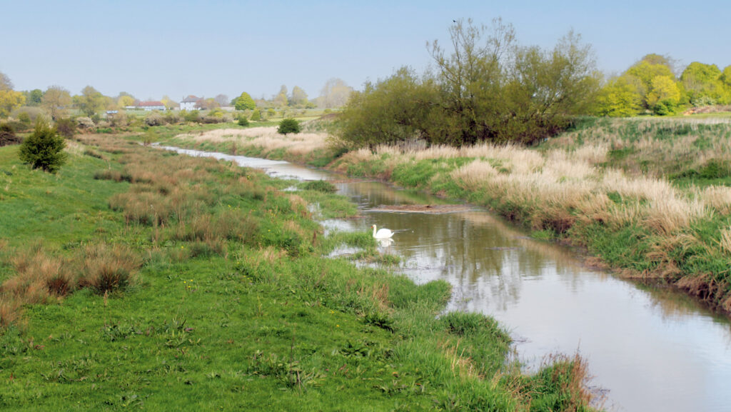 Cuckmere River © MAG/Philip Clarke