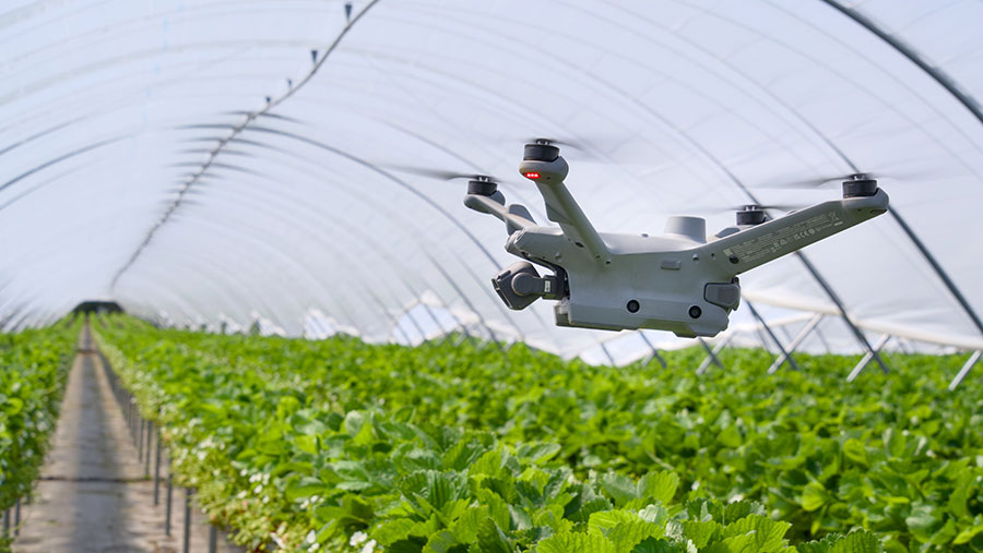 Drone flying over crops