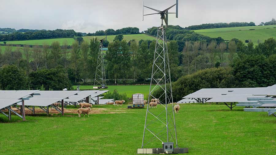 Small wind turbine