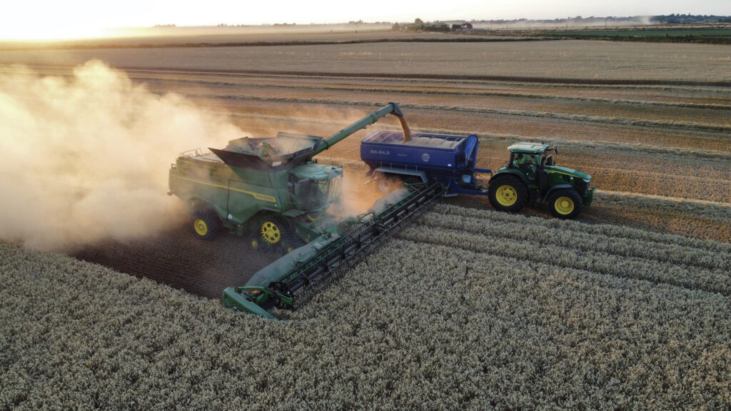 Harvest at a farm