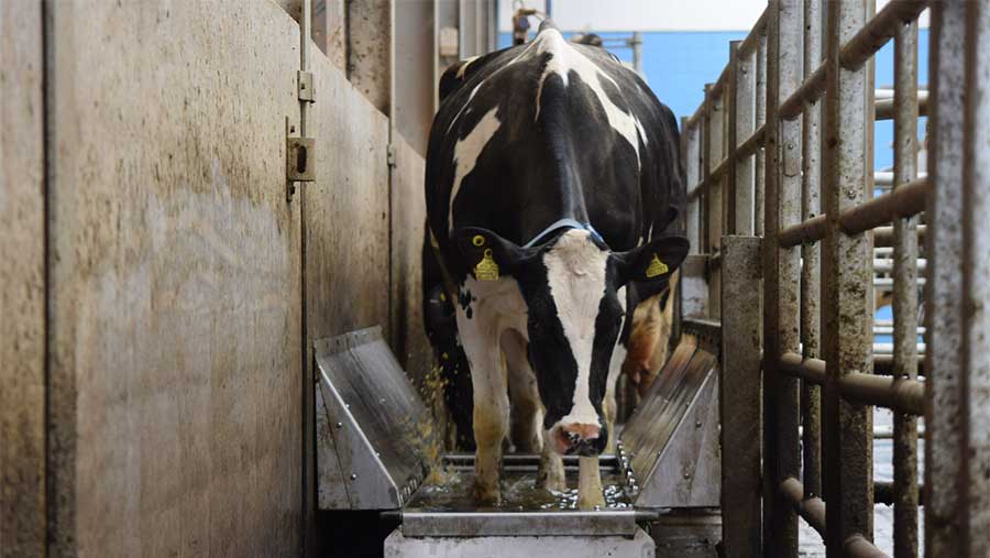 Hoofcount footbath