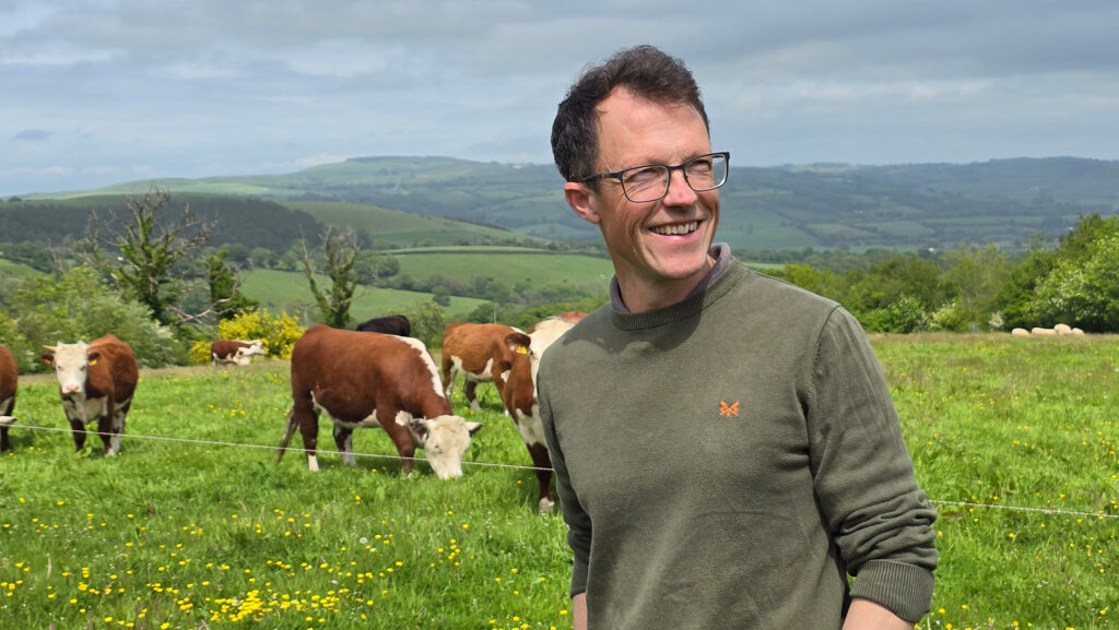 Jack Cockburn with cattle