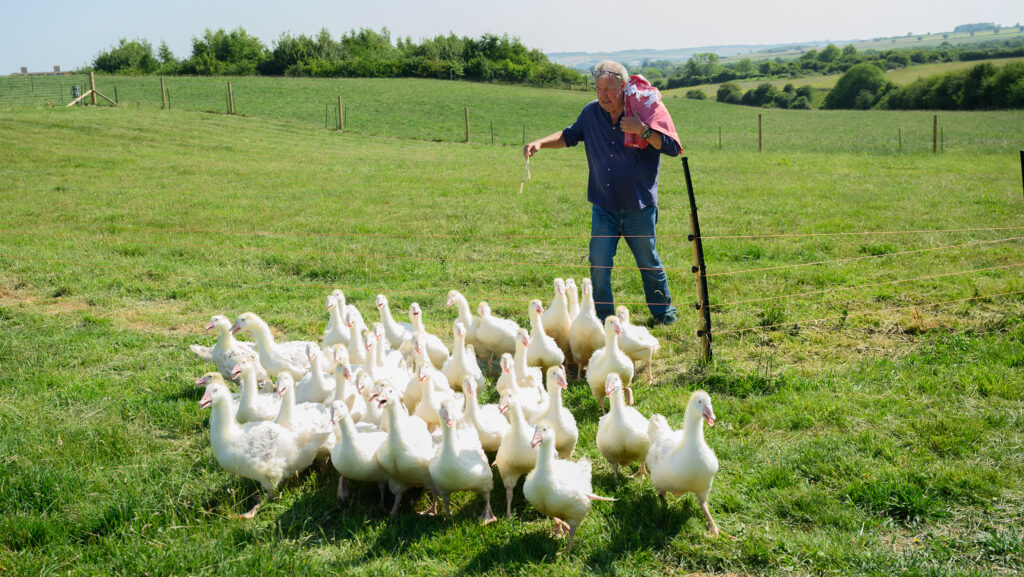 Jeremy Clarkson with geese, Clarkson's Farm