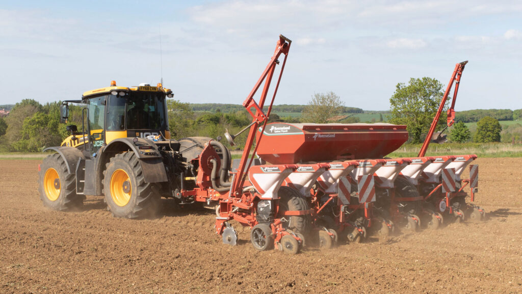 Maize drilling