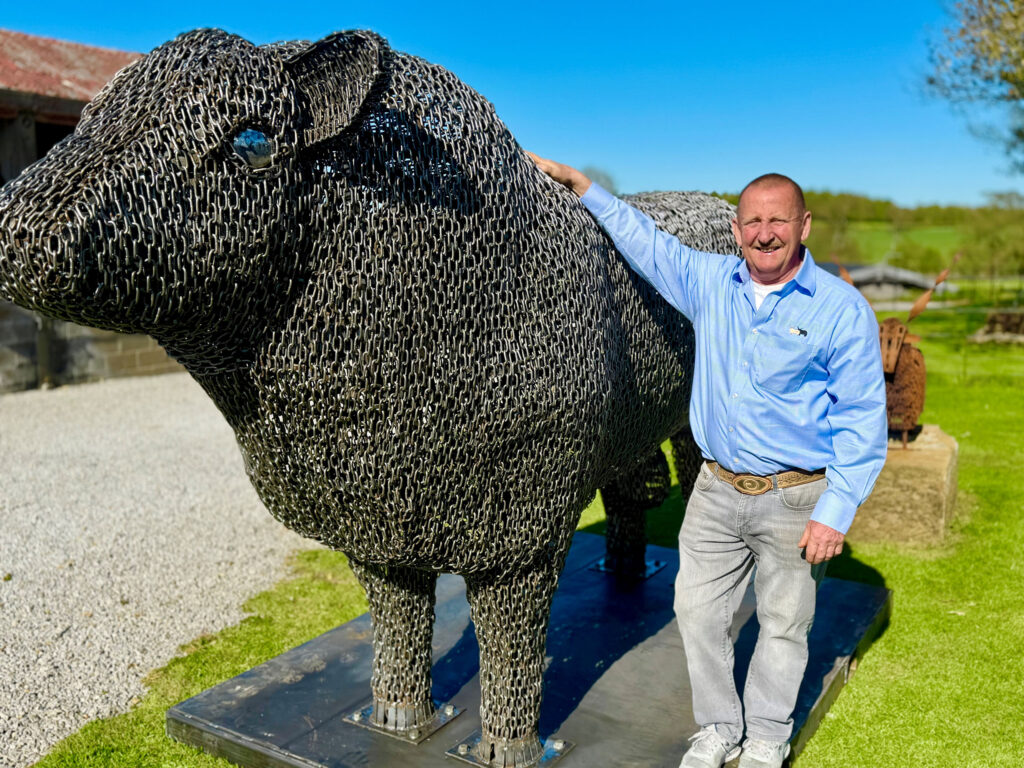 Metal bull