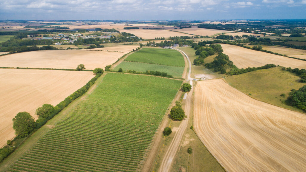 Muston Farm