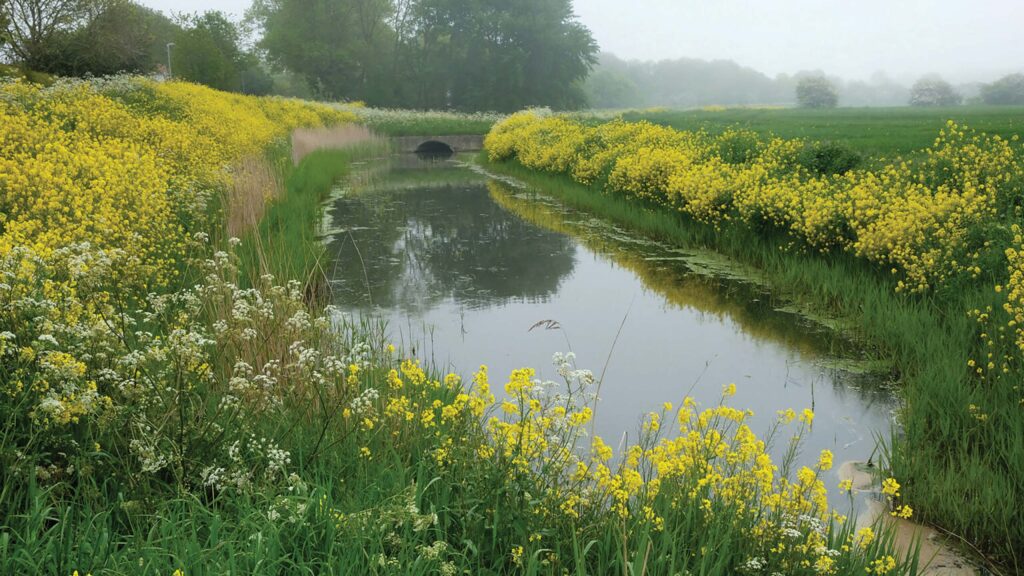 © Natural England