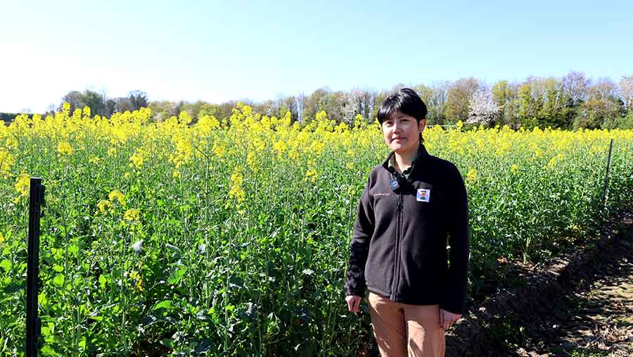 Pei-Chen, OSR assistant breeder at KWS