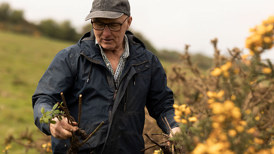 How CSHT helped farmer switch to sustainable beef production