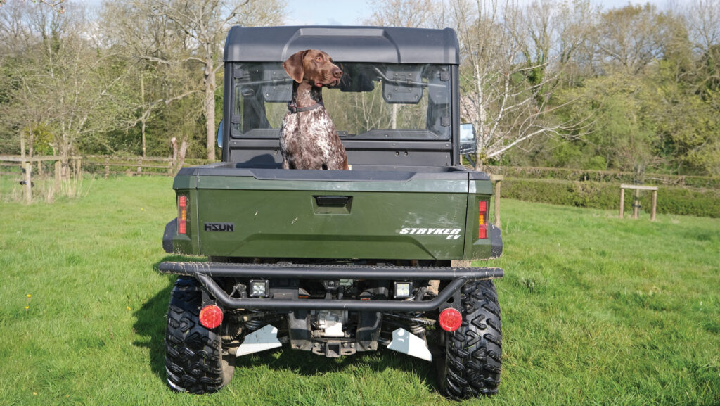 Rear view of UTV 