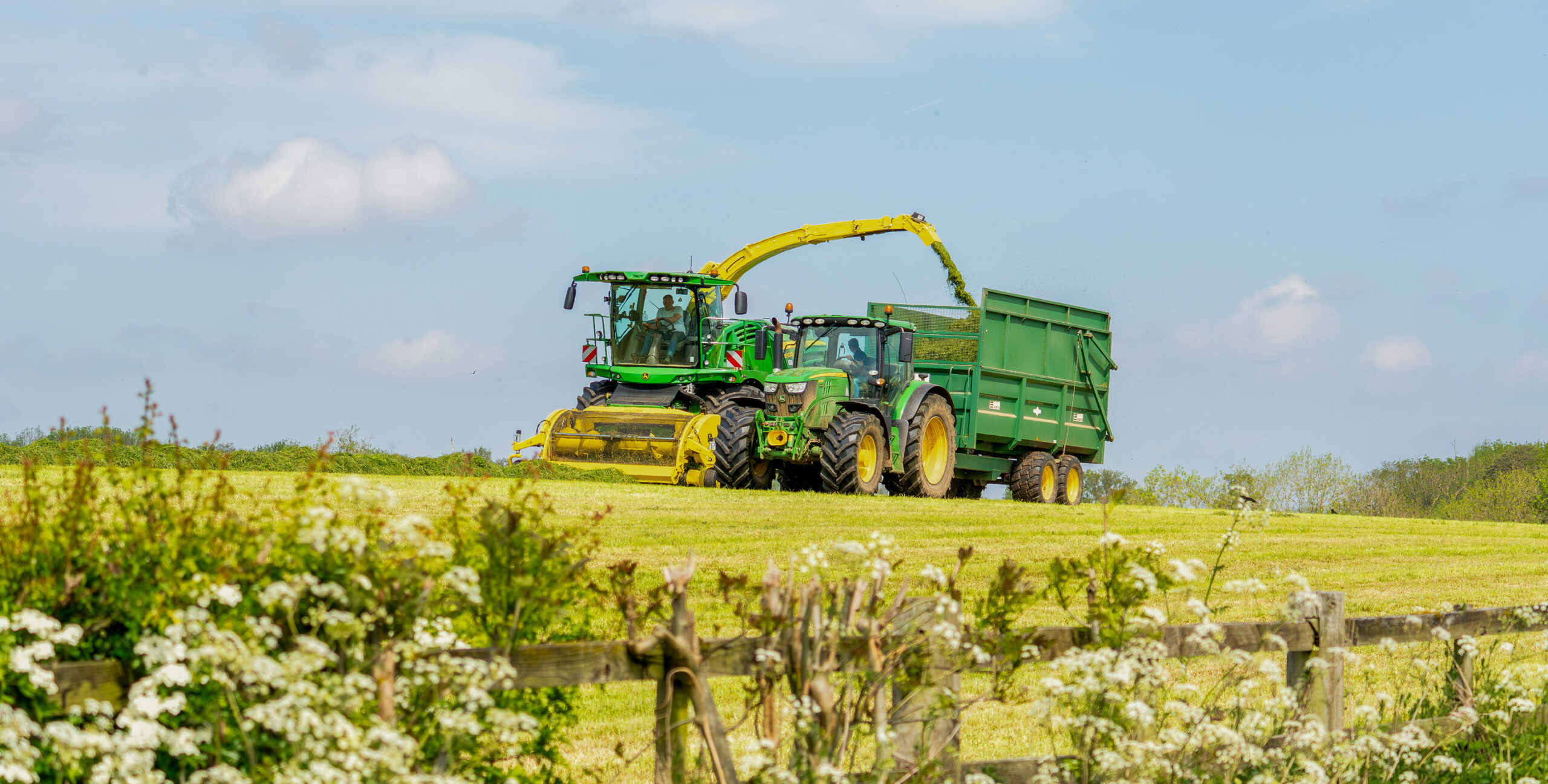 Forage harvesting